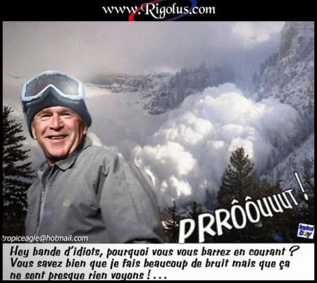 bush